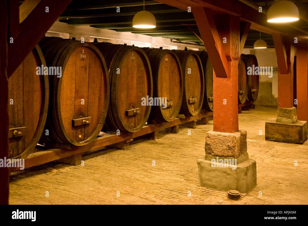 Oak barrels in old port wine cellar Stock Photo