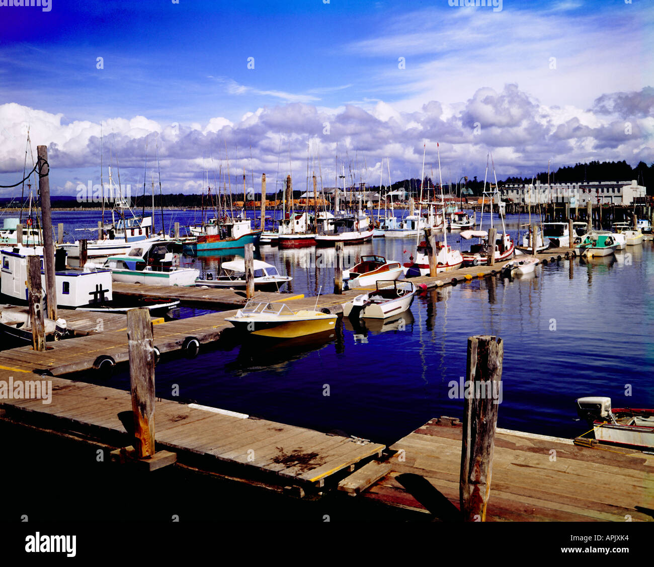 Commercial fishing vessels and pleasure boats rest at the moorage at