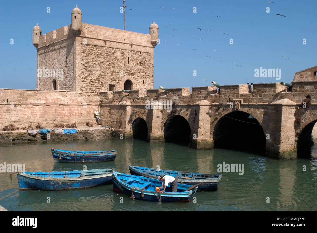 Four blue sardine boatsmoored beside the Skala or fort in essaouira seagulls are flying in the blue sky Stock Photo