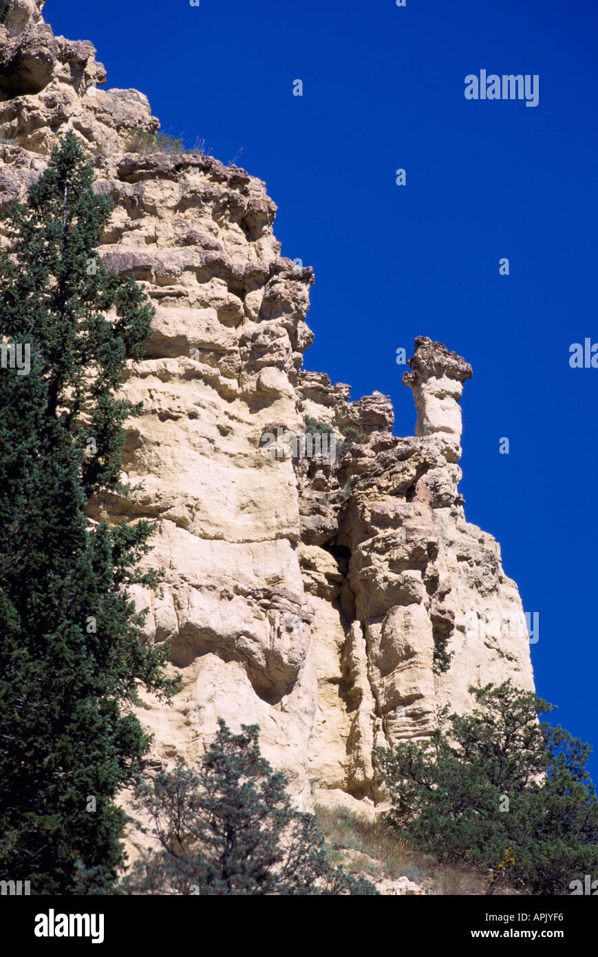 Hoodoo in Castle Rock Hoodoos Provincial Park, in Deadman Valley near  Savona and Kamloops, BC, British Columbia, Canada Stock Photo - Alamy