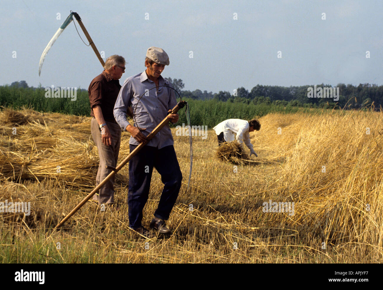 Poland Polish Farm Farmer Agriculture 1975 history historic Stock Photo