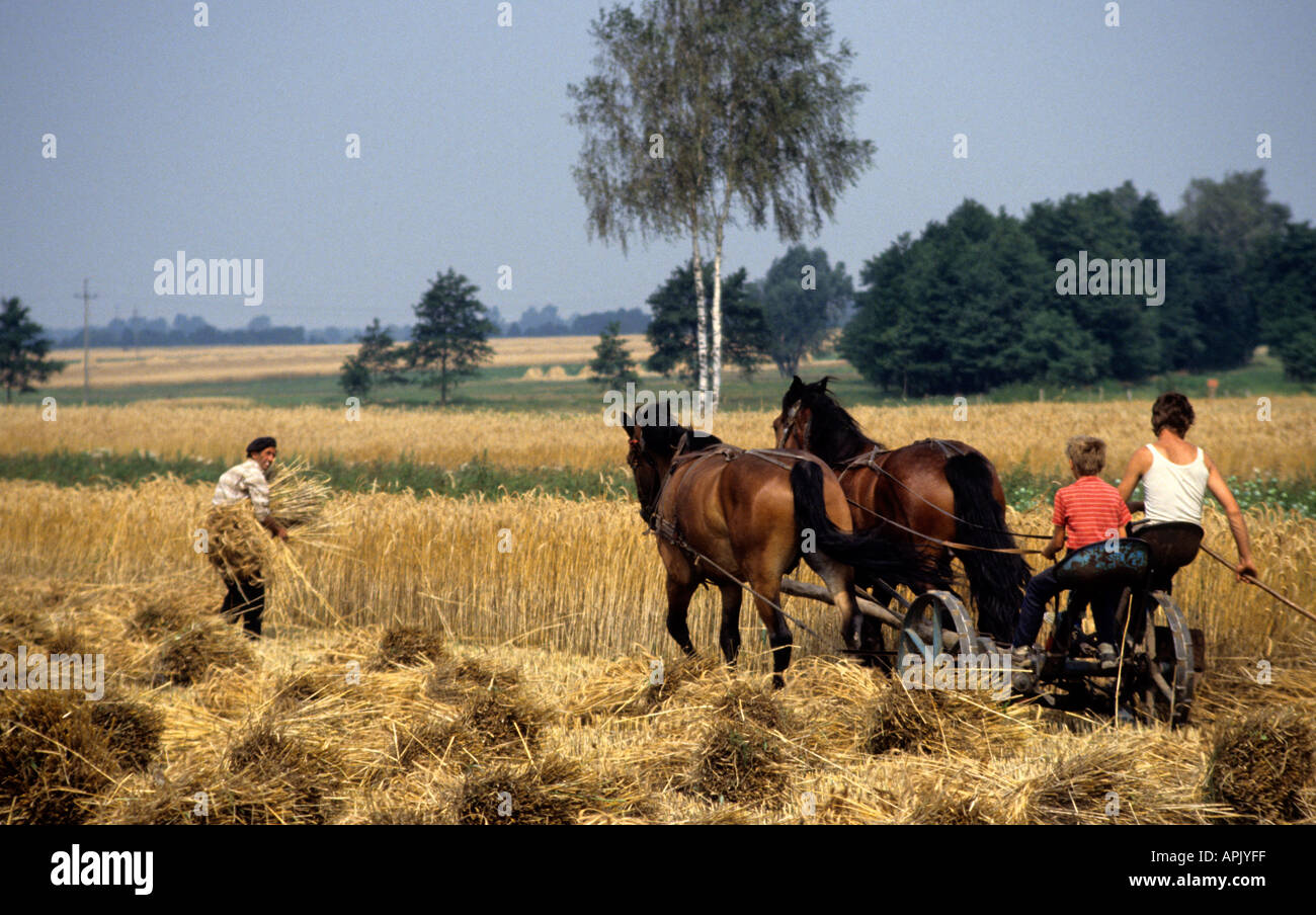 Poland Polish Farm Farmer Agriculture 1975 history historic Stock Photo