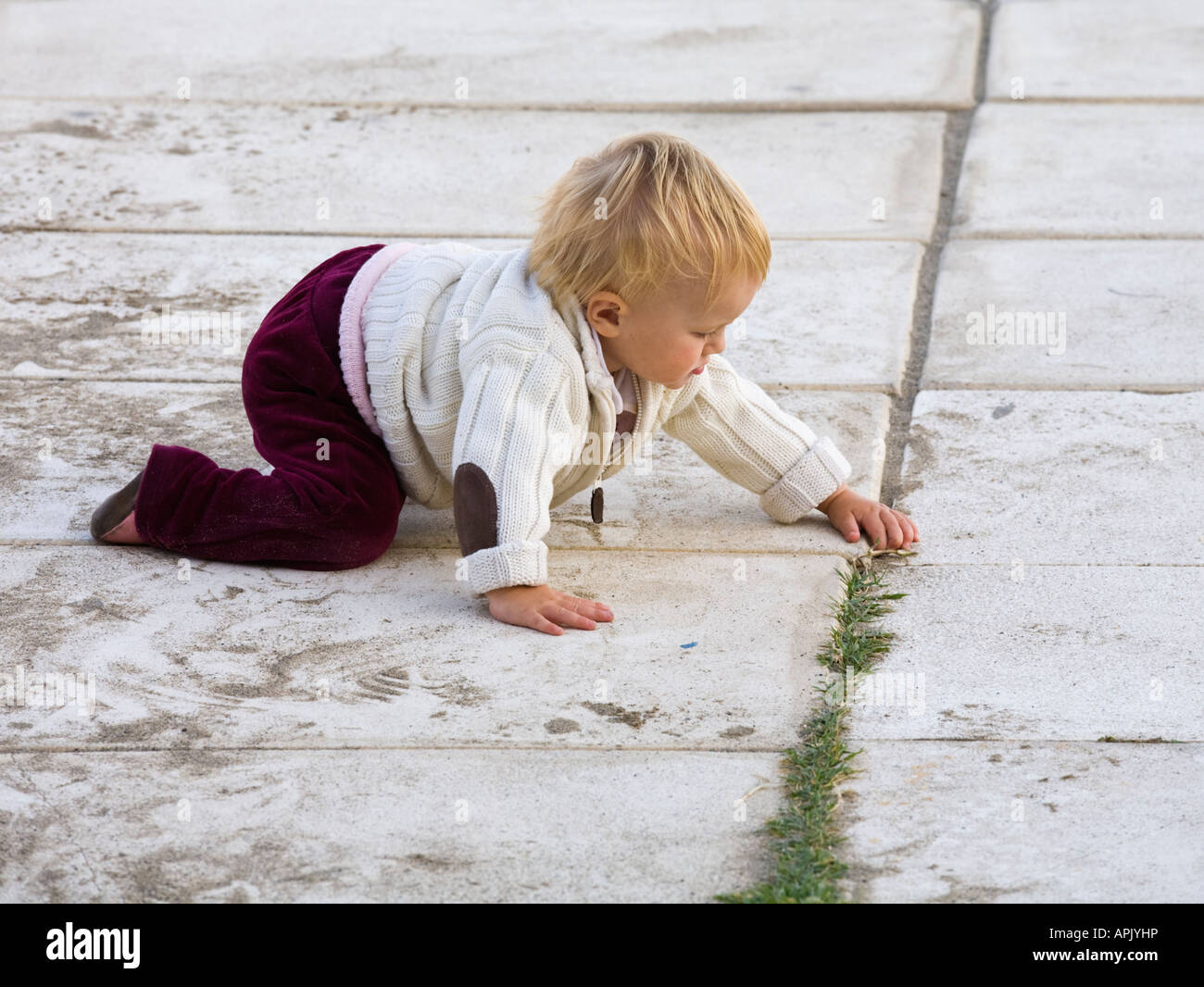 One year old toddler exploring Stock Photo
