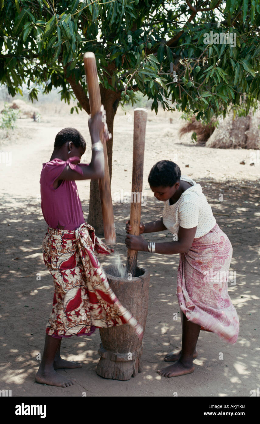 Two girls grinding maize in a mortar in Fulaza village, near North Luangwa National Park, Zambia. Stock Photo