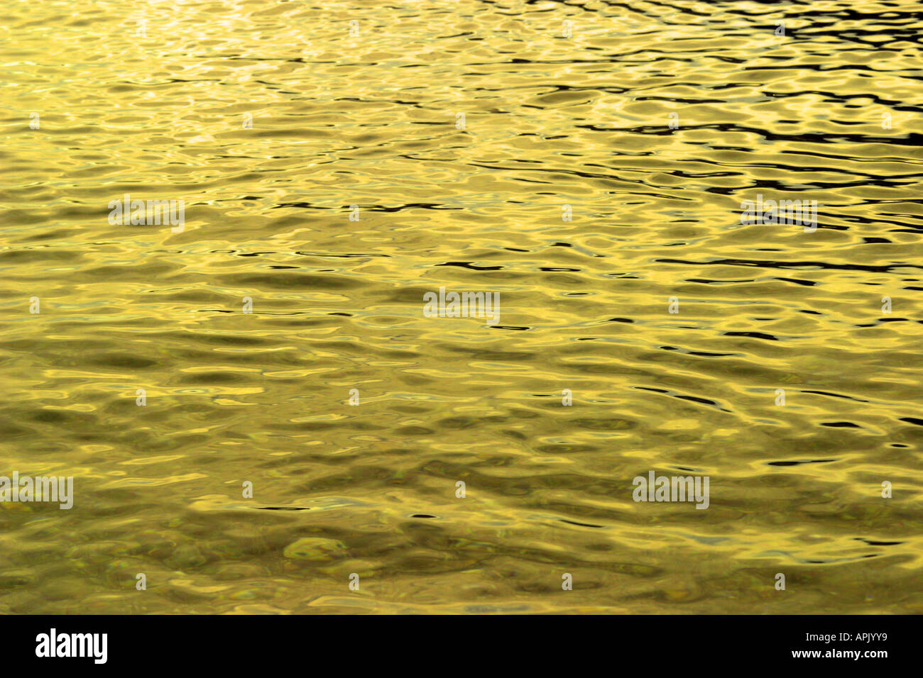Sun reflecting on water surface Stock Photo