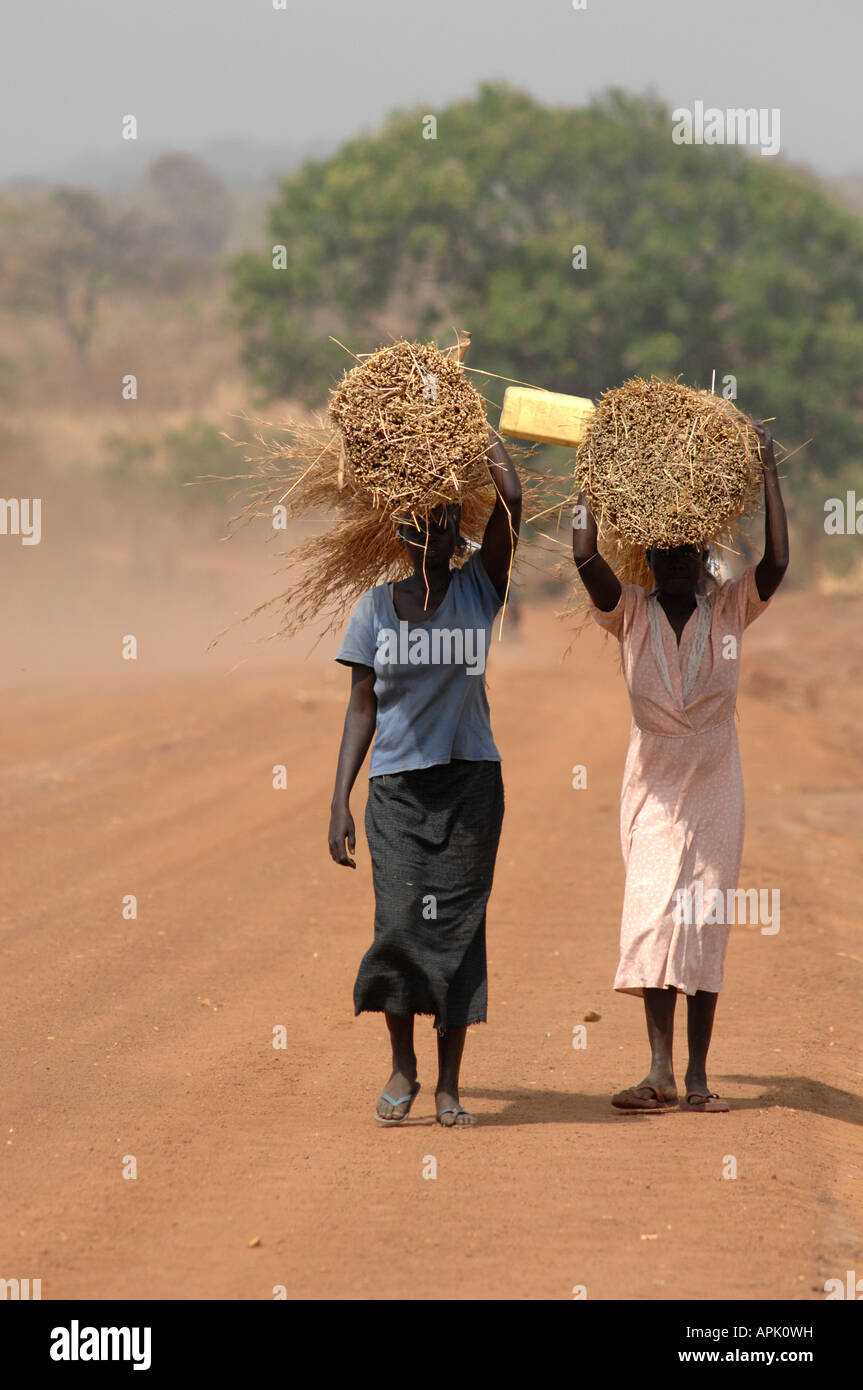 Two women carrying thatching materials on a dusty road in Southern Sudan Stock Photo