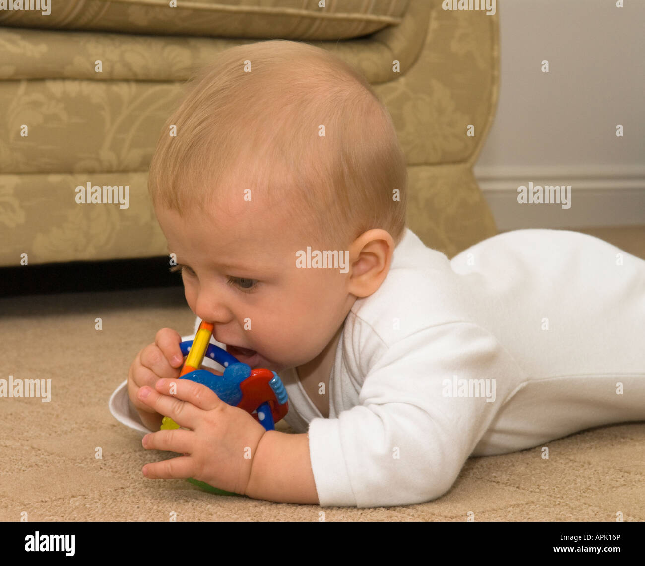 baby five months old chewing on teething rings Stock Photo Alamy
