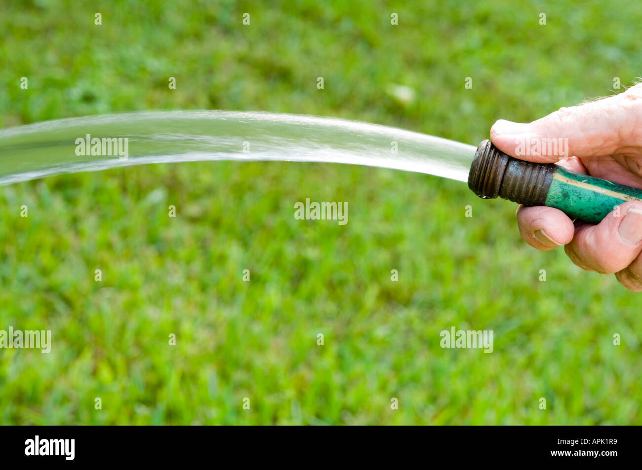 male hand watering with garden hose Stock Photo Alamy