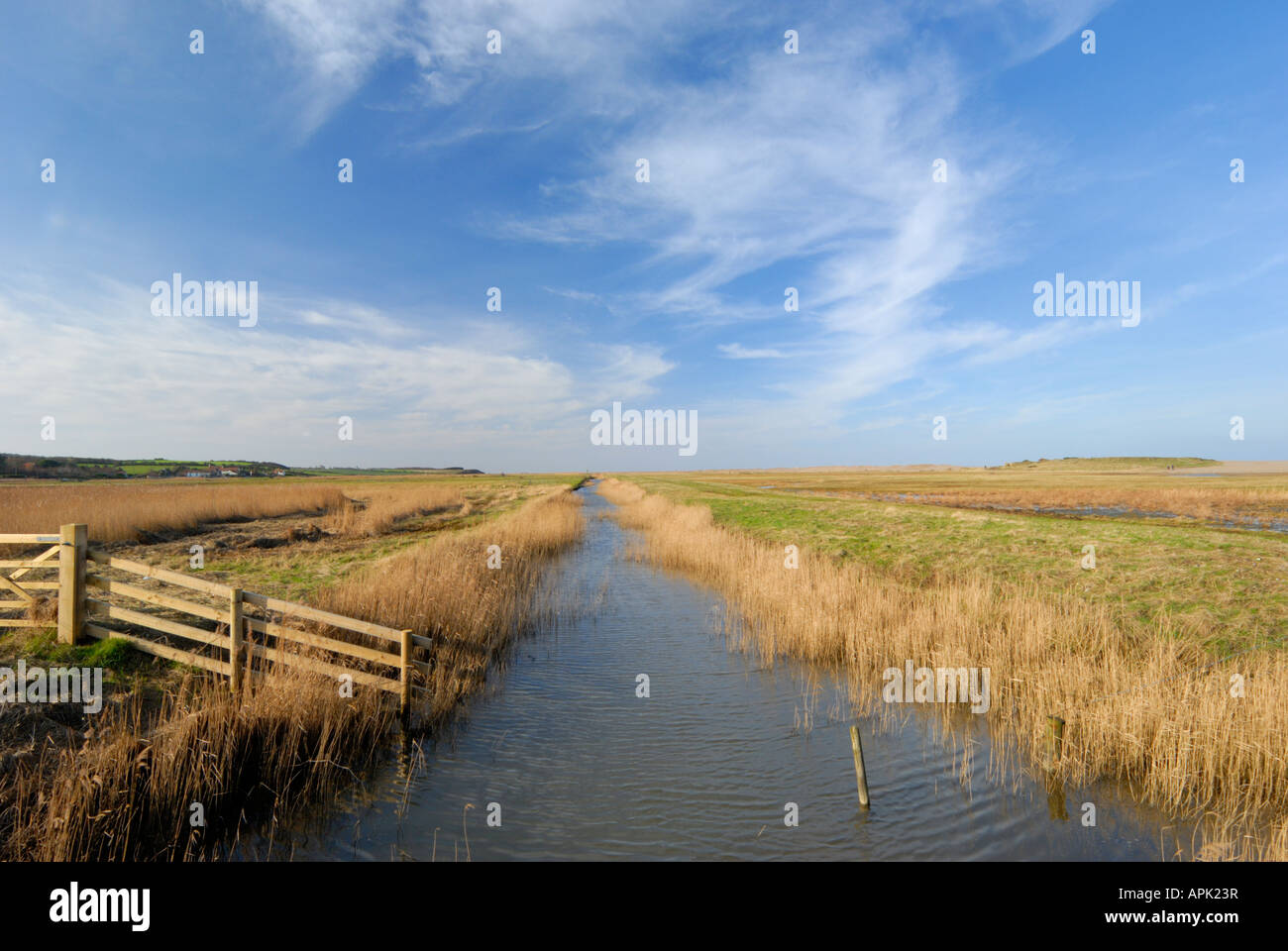 Salthouse Marshes, Norfolk England UK Stock Photo