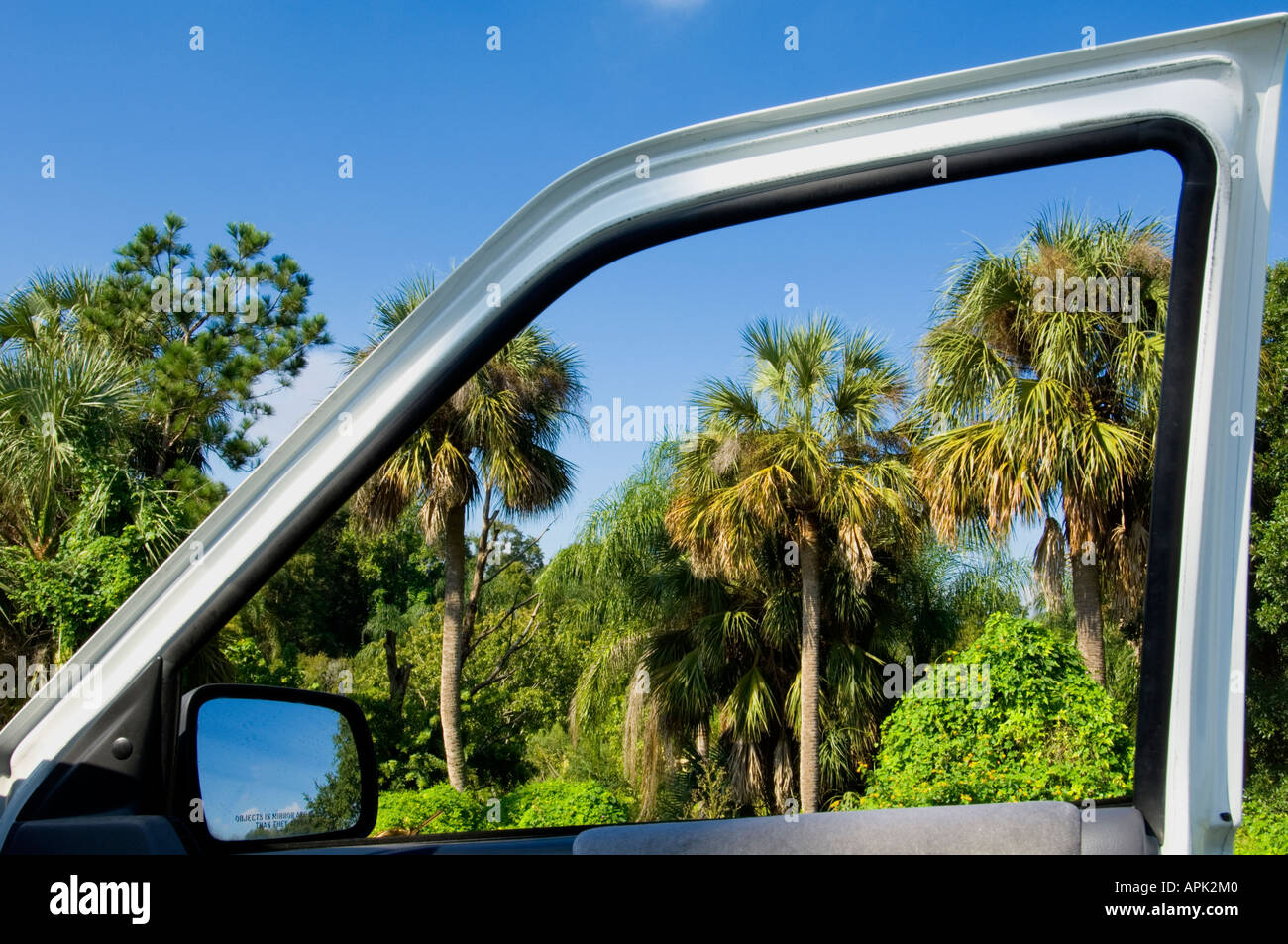 Caribbean jungle of palm trees framed by car door Stock Photo