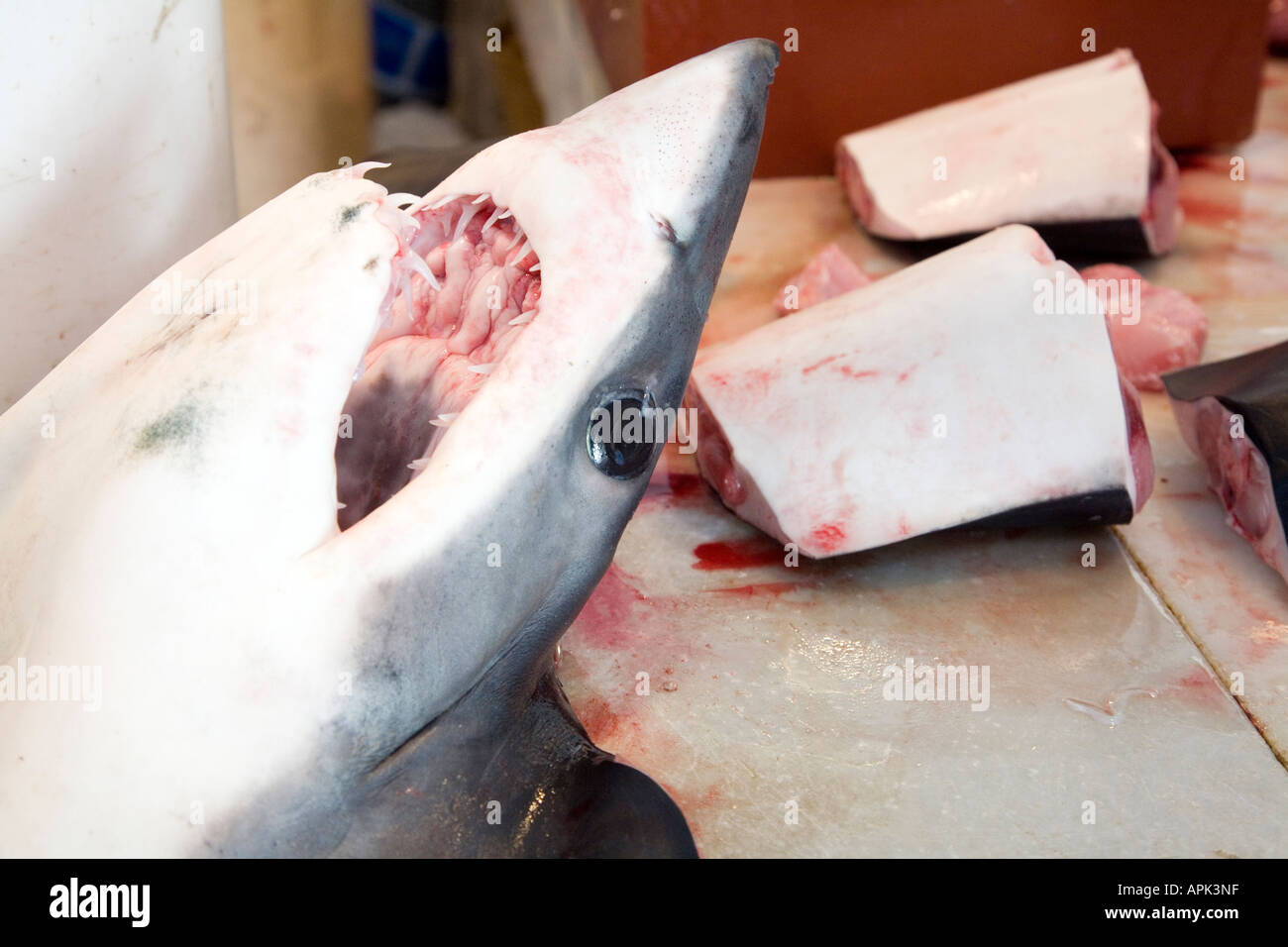 Still life of fresh fish for sale on a Spanish market head and sliced body of a dogfish small shark Stock Photo
