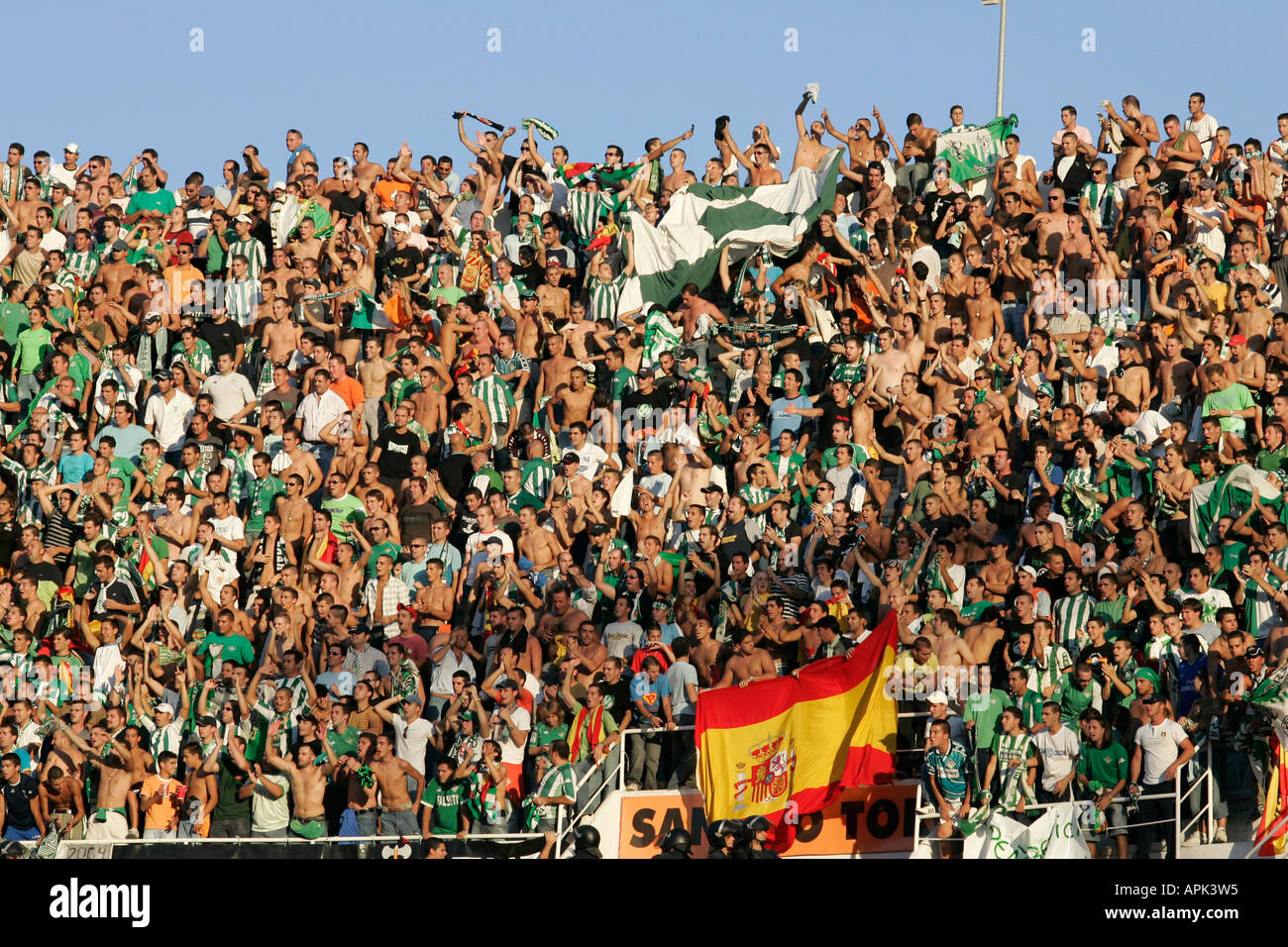 Real Betis Fans Celebrating a Goal Stock Photo Alamy