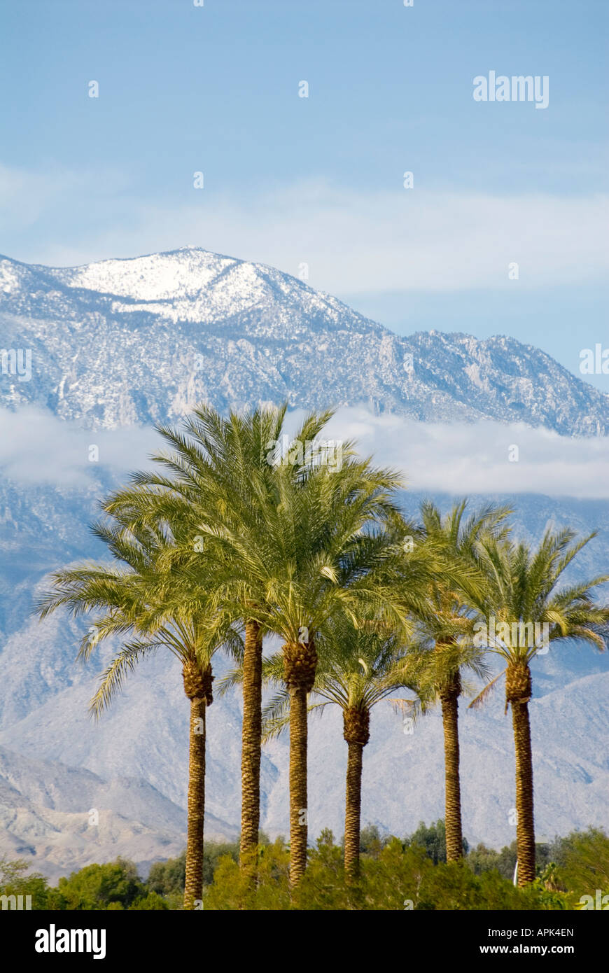 Palm Springs Snow 2025 Dania Marianne