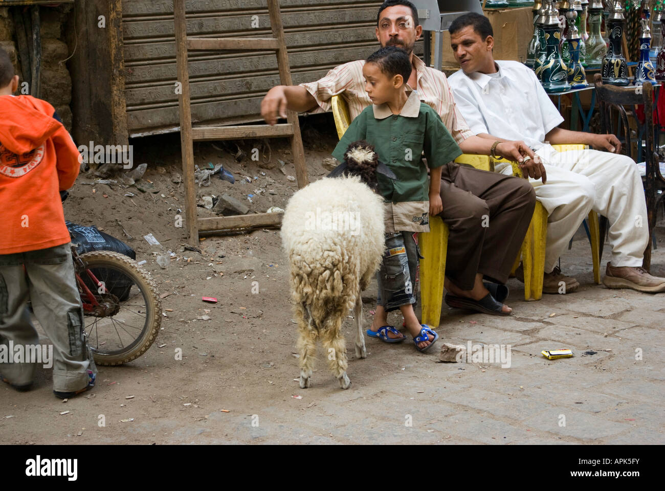 Egyptian boy and pet sheep Stock Photo