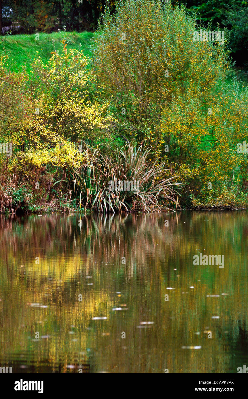 Reflections In A Lake Stock Photo - Alamy