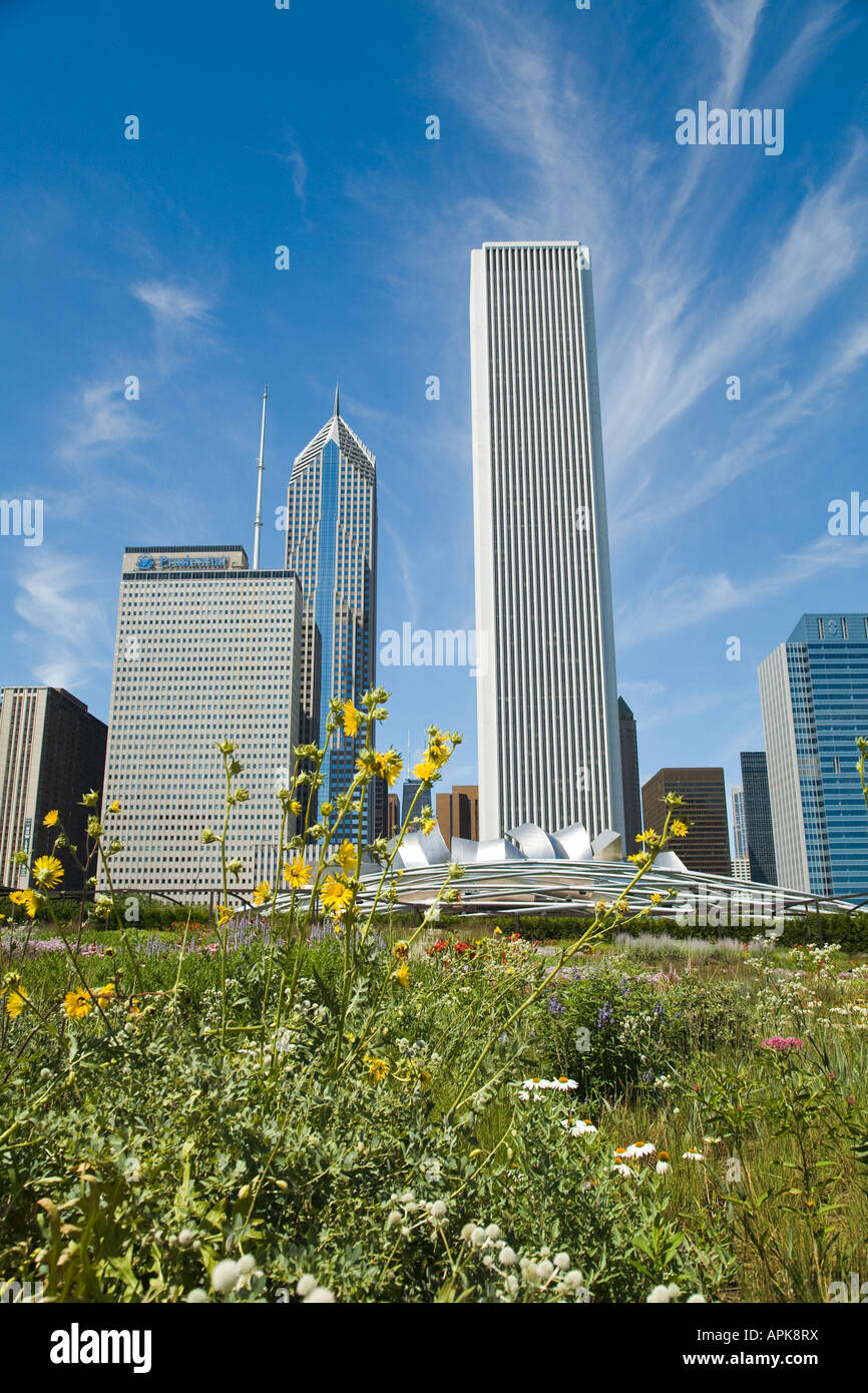 ILLINOIS Chicago Flowers blooming in Lurie Garden of Millennium Park