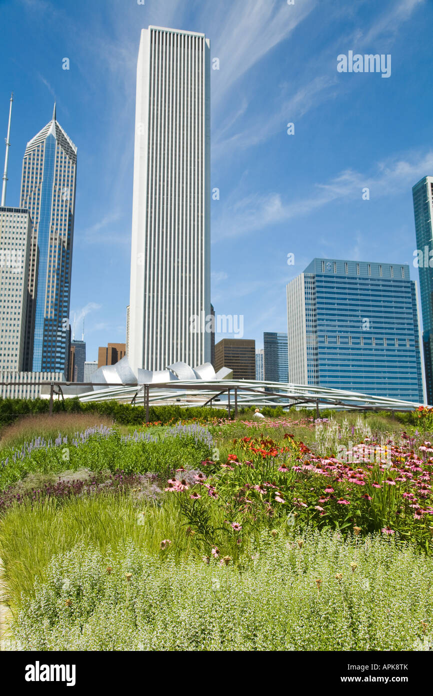 ILLINOIS Chicago Flowers blooming in Lurie Garden of Millennium Park