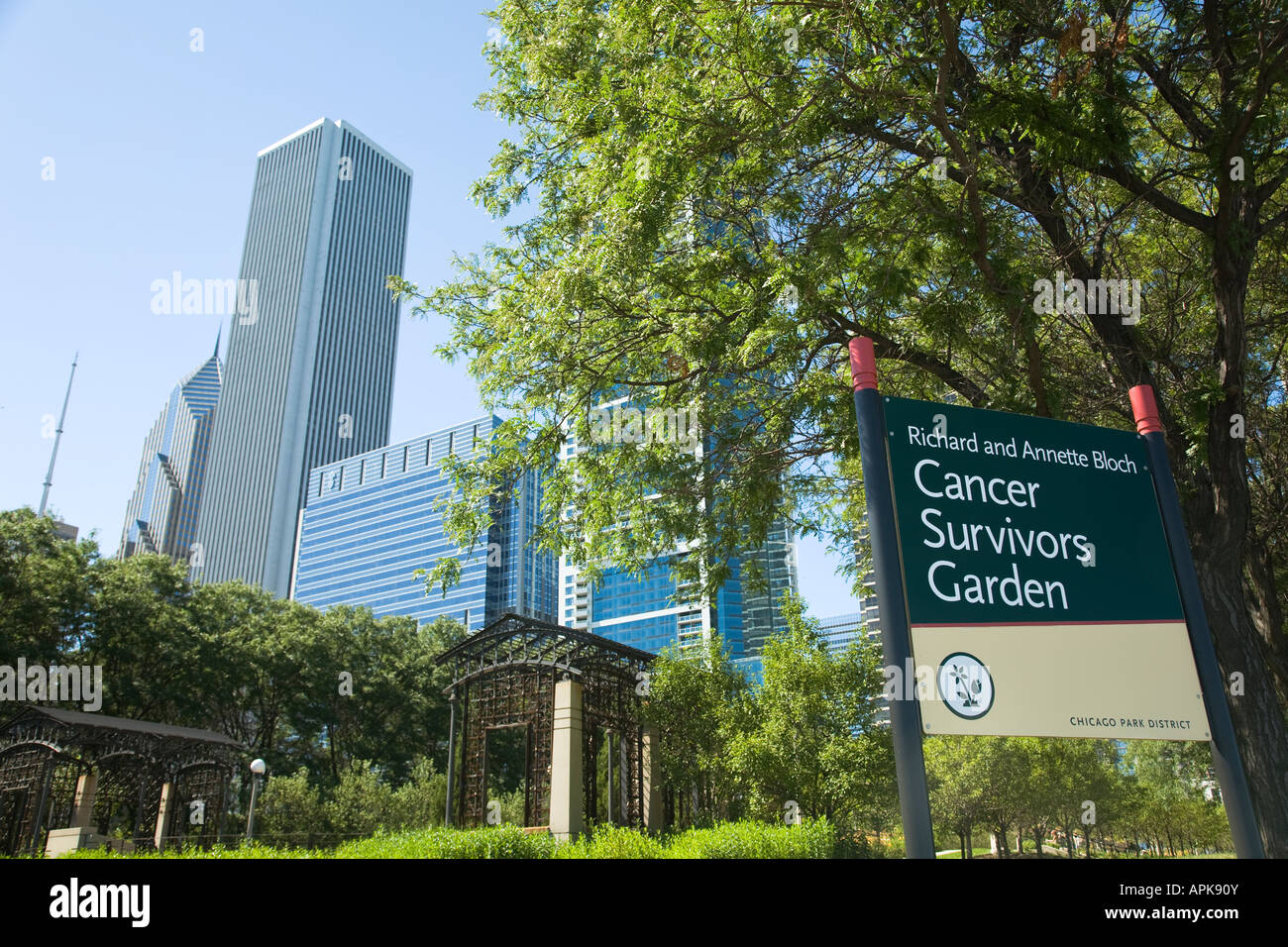 Navigating the New Landscape: A Local Resource Guide