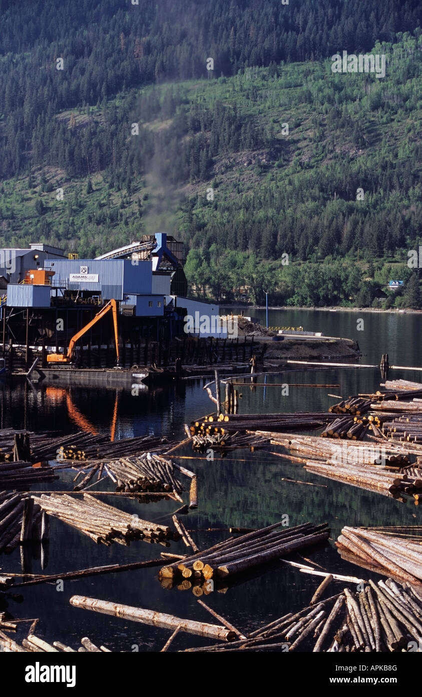 Adams Lake Lumber sawmill Adams Lake Shuswap region BC Canada Stock