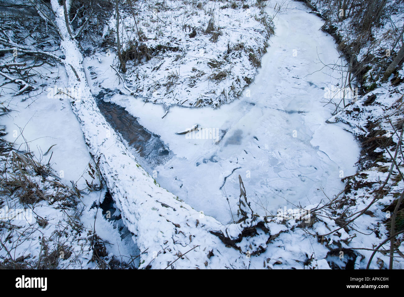 Frozen stream Stock Photo