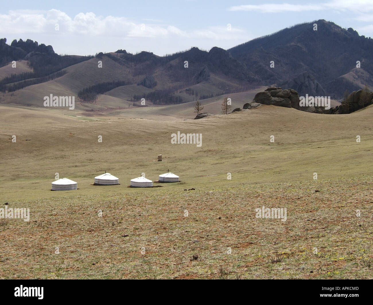 Traditional Mongolian Yurt tent, Mongolia China Stock Photo - Alamy