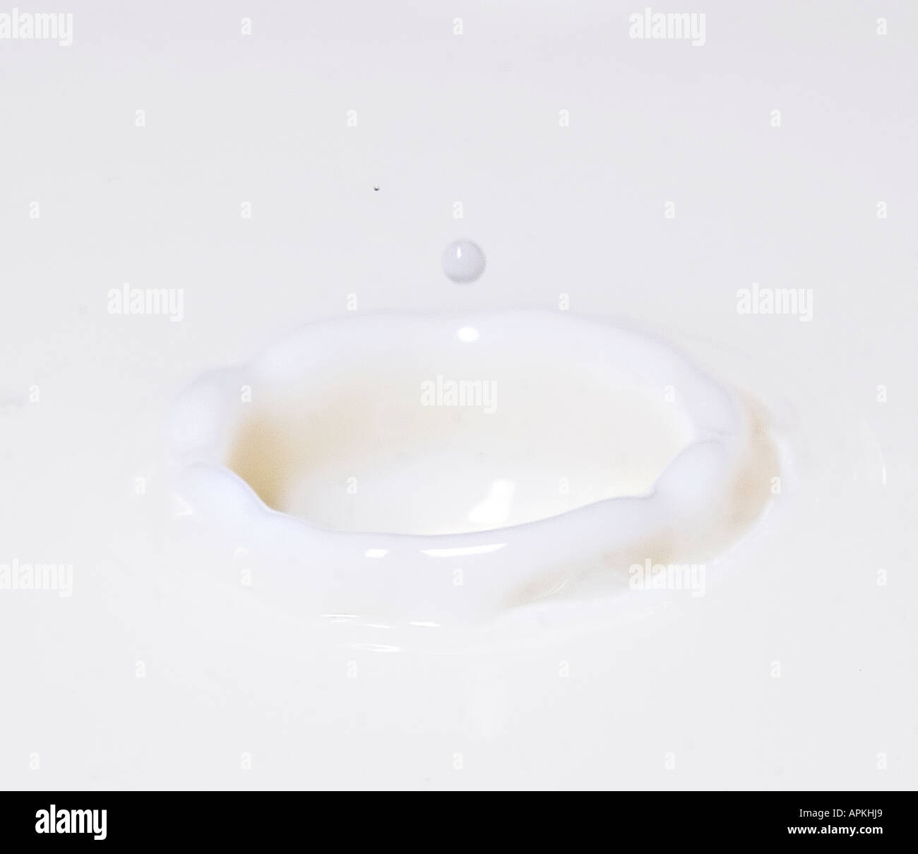 Drops of milk splashing into pool of milk Stock Photo Alamy