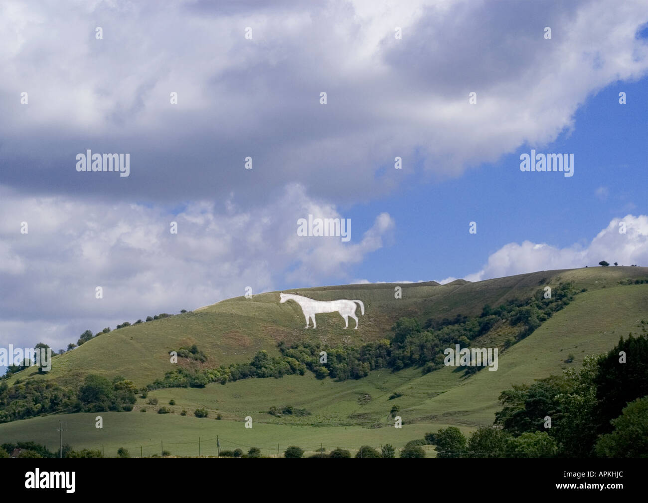 Westbury white horse WESTBURY Wiltshire UK Stock Photo