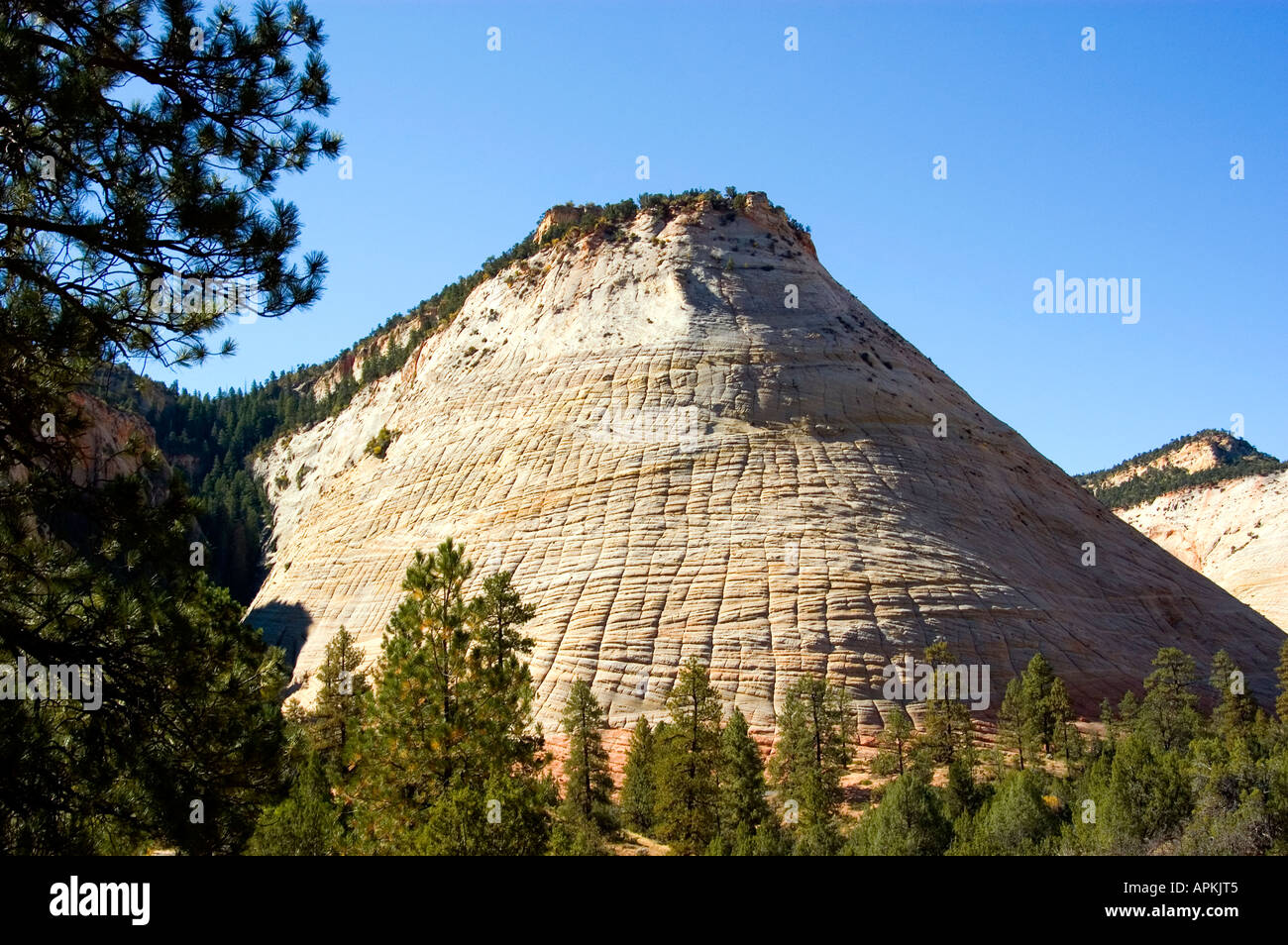 Zion National Park Utah UT Checkerboard Mesa rock formation Stock Photo ...