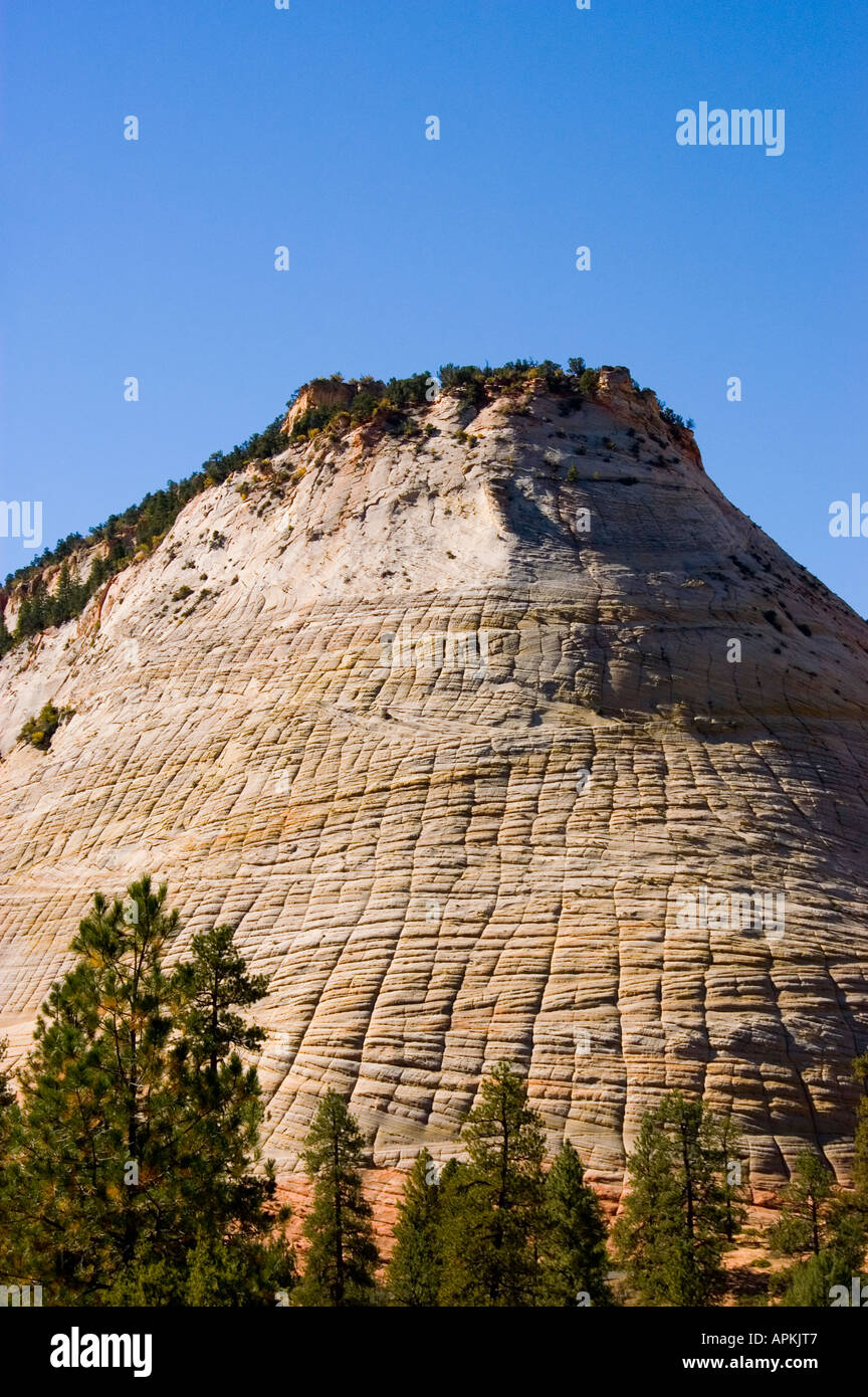 Zion National Park Utah UT closeup of Checkerboard Mesa rock formation ...