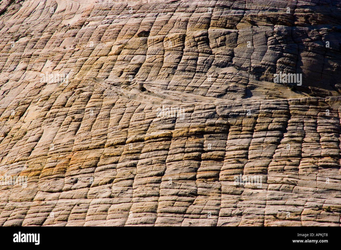 Zion National Park Utah UT closeup of Checkerboard Mesa rock formation ...