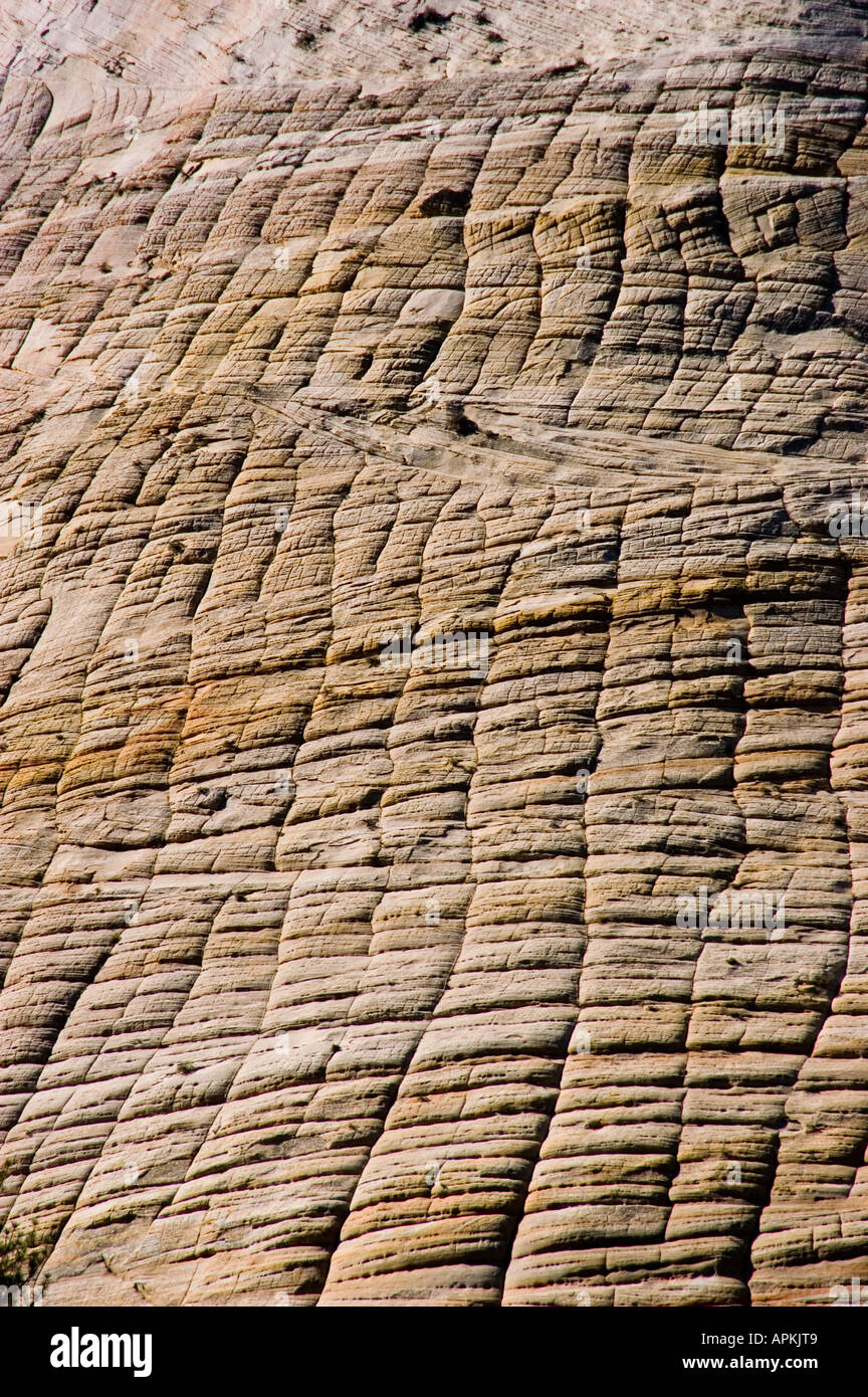 Zion National Park Utah UT closeup of Checkerboard Mesa rock formation ...