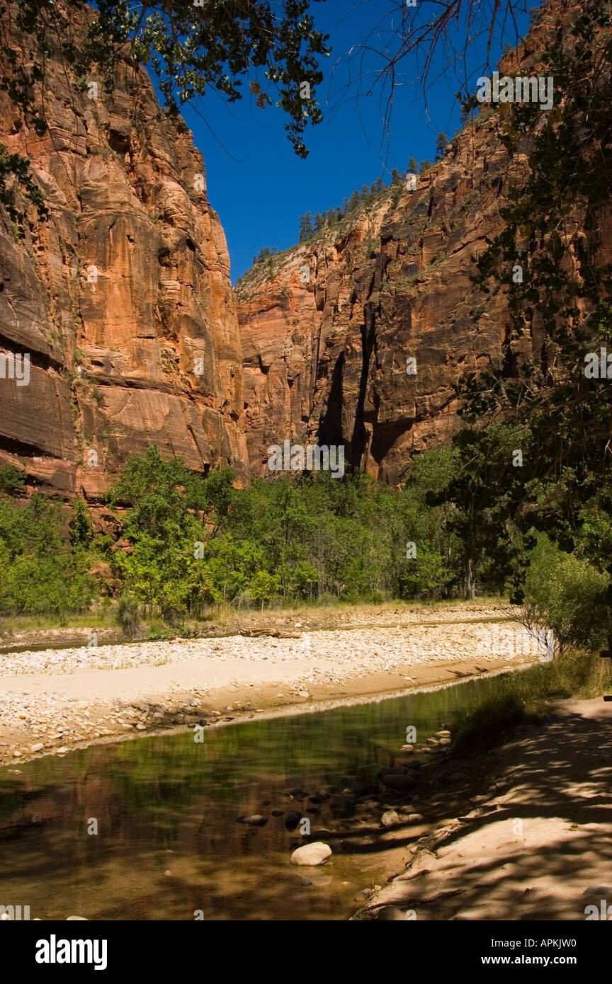 Along the Virgin River in Zion National Park Utah UT Path alongside the