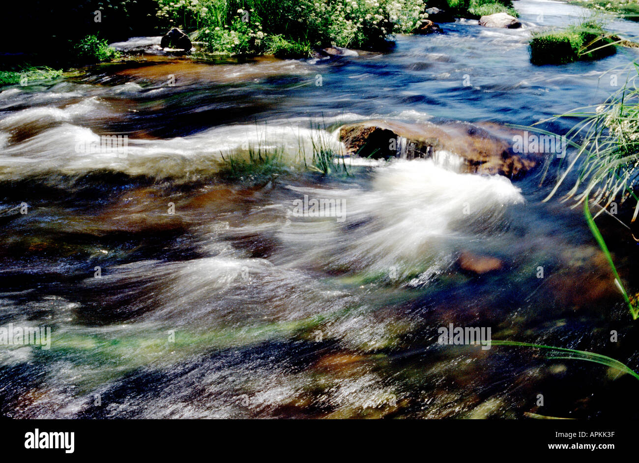 River Adaja Flowing. Avila, Spain Stock Photo