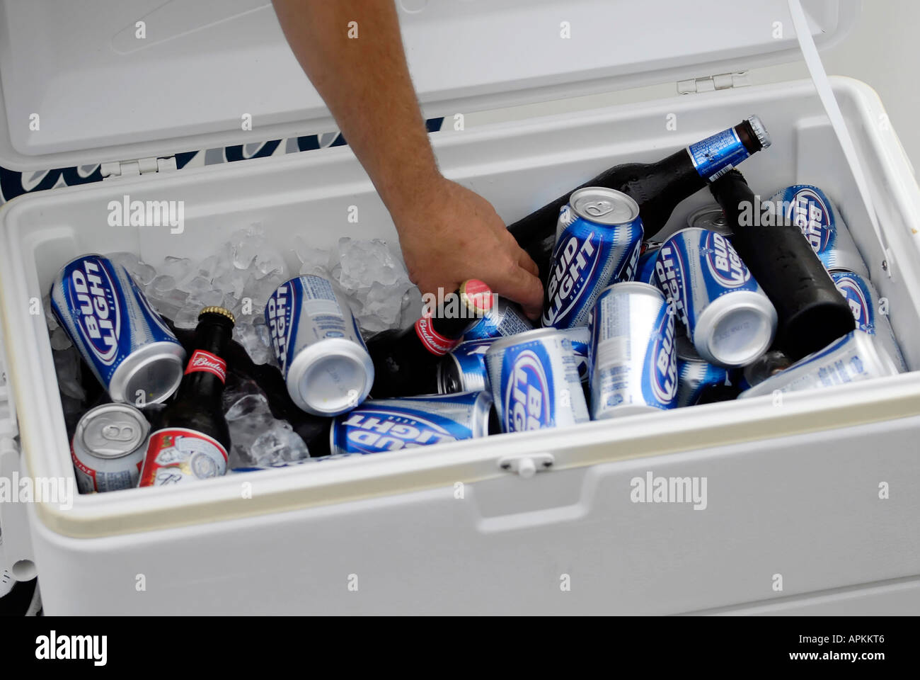 Hand reaching for beer from a cooler filled with ice Stock Photo