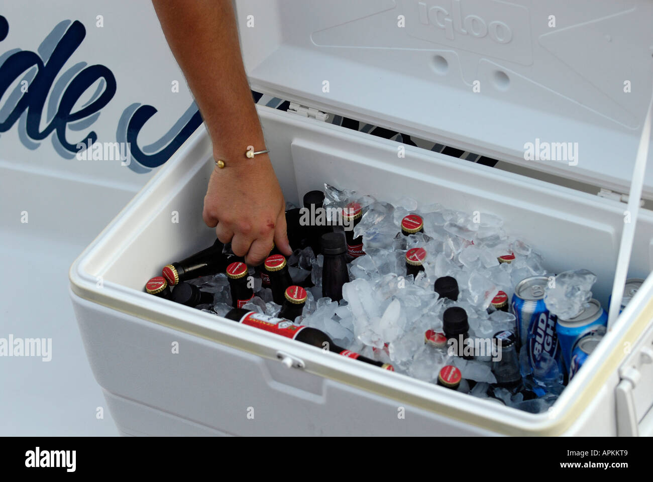 Hand reaching for beer from a cooler filled with ice Stock Photo