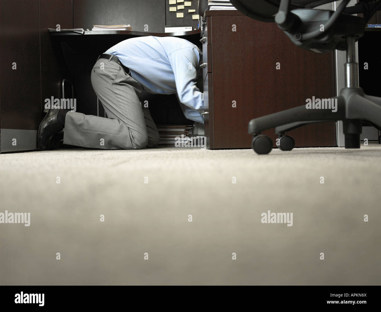 Male office worker kneeling under desk Stock Photo Alamy