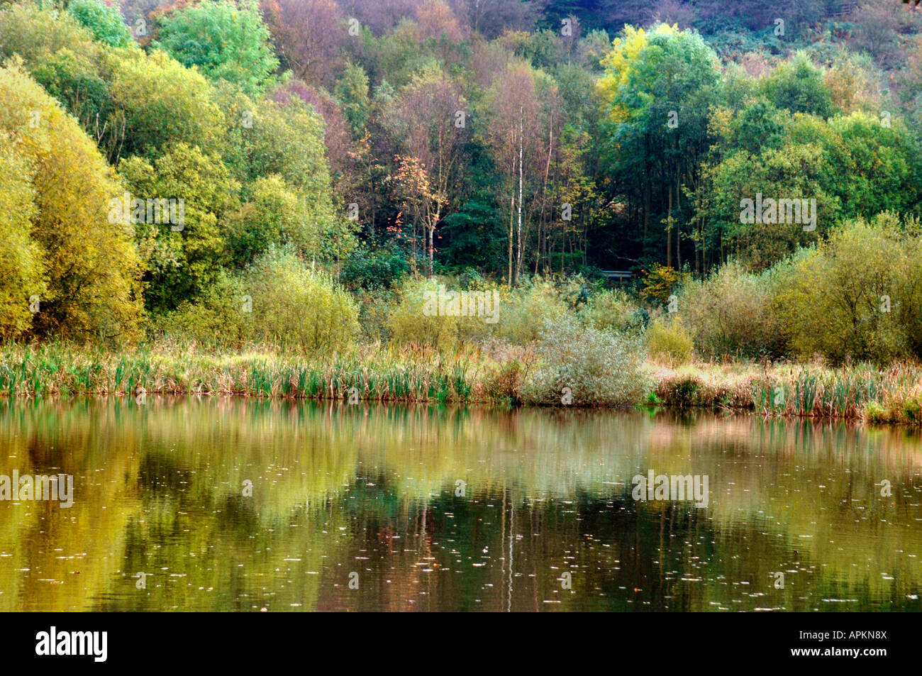 Reflections In A Lake Stock Photo - Alamy