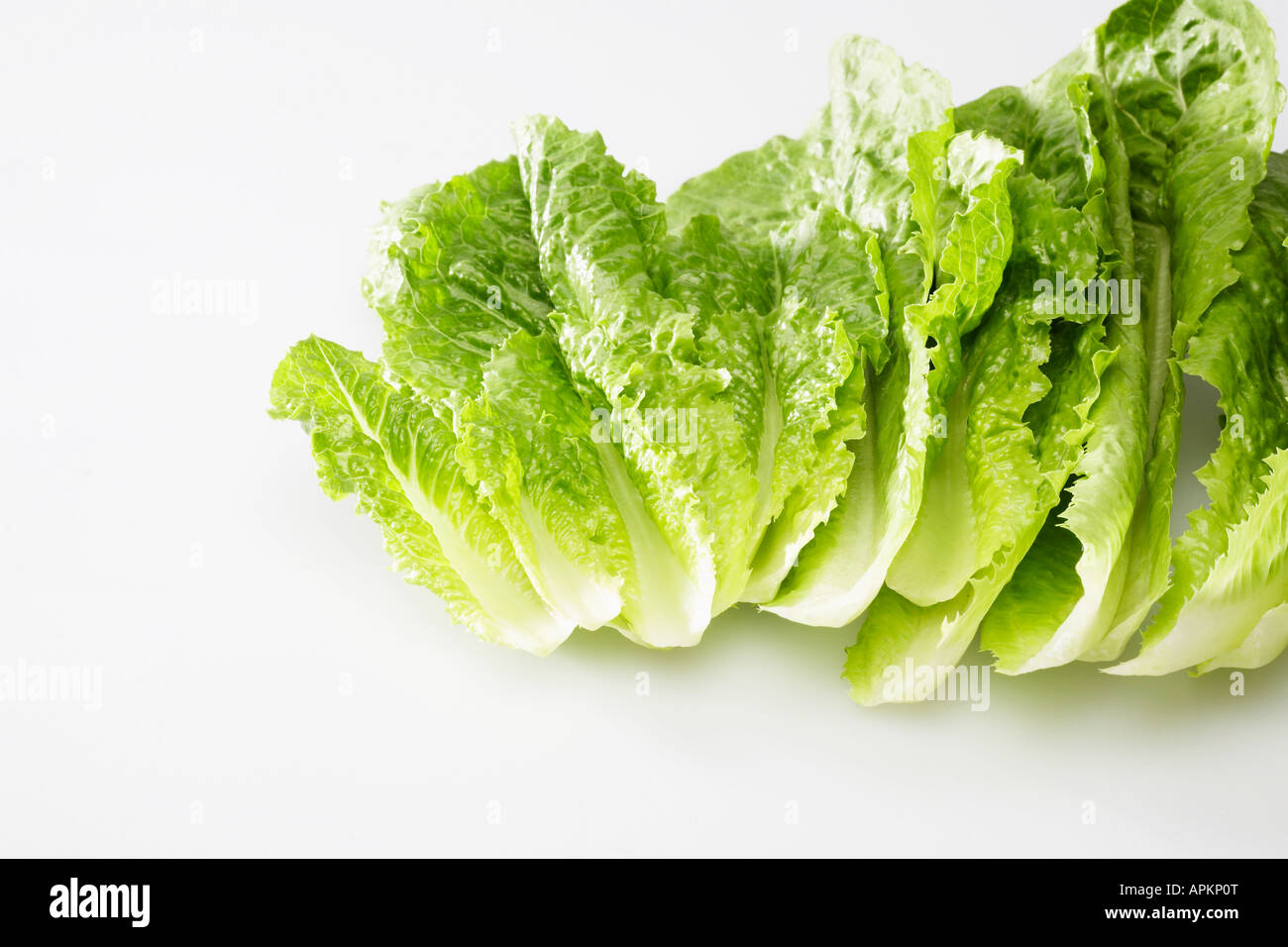 Romaine lettuce leaves Stock Photo Alamy