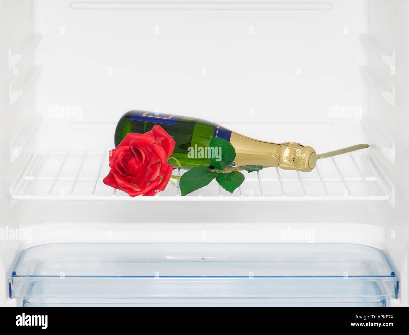 Champagne and rose in fridge (closeup Stock Photo Alamy