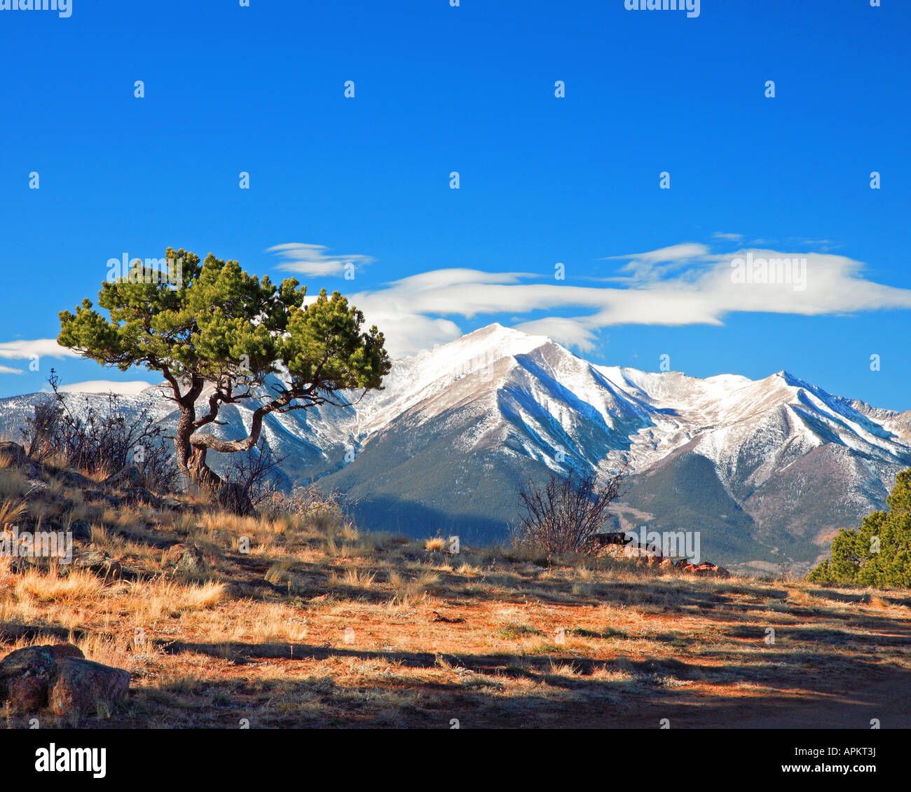 landscape at Buena Vista, USA, Colorado Stock Photo Alamy