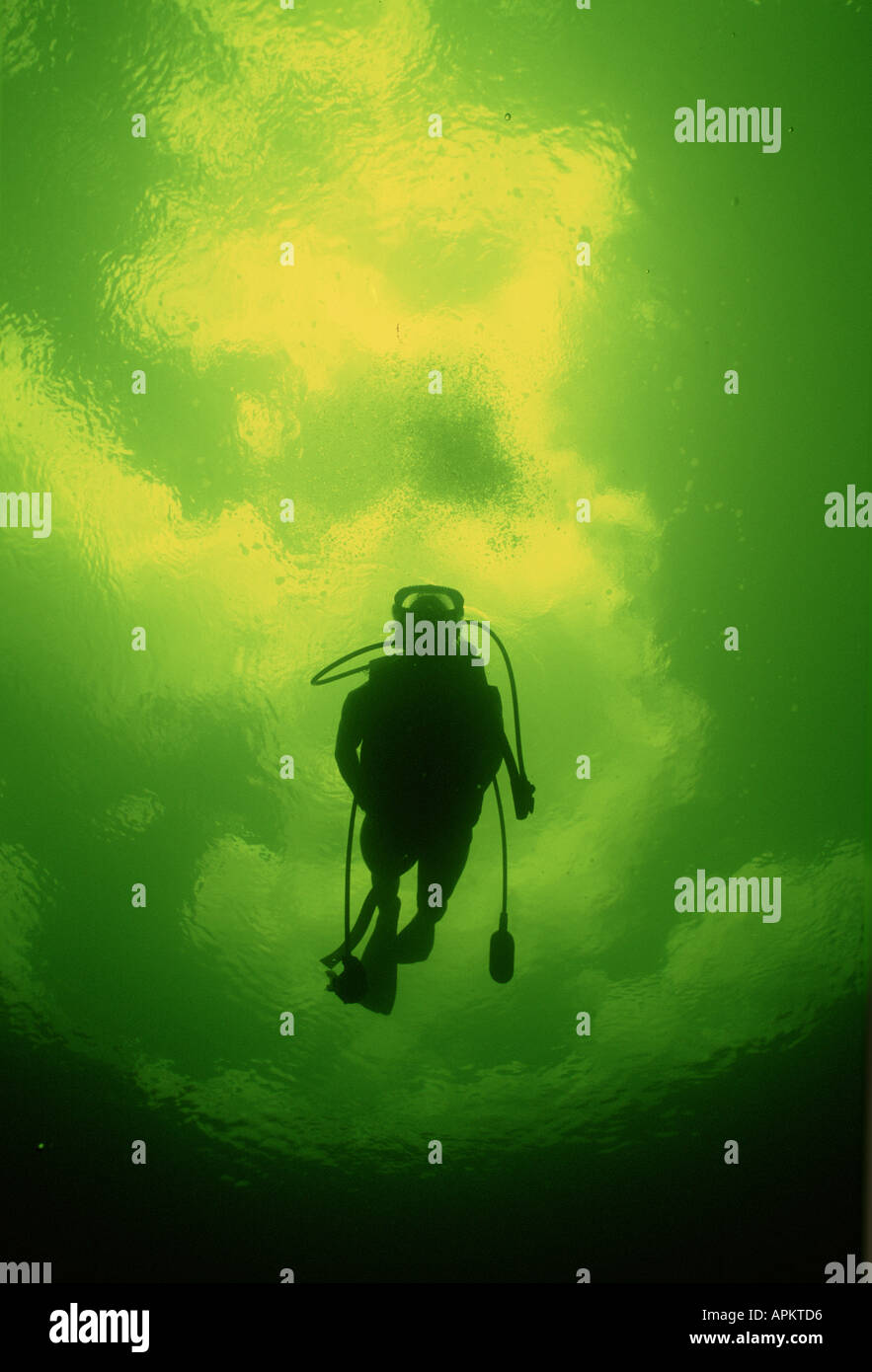 Scuba silhouette hi-res stock photography and images - Alamy