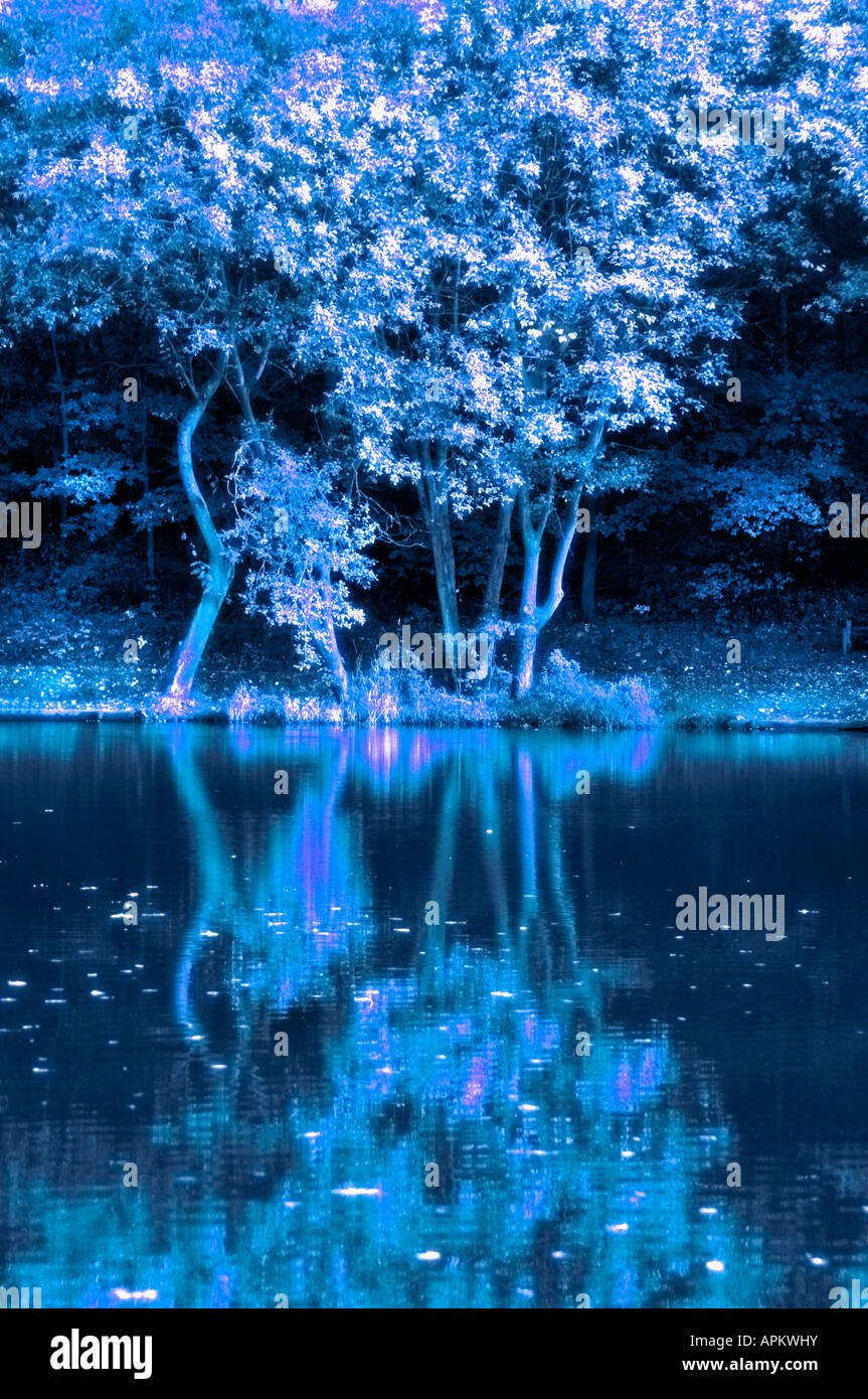Reflections In A Lake Stock Photo - Alamy