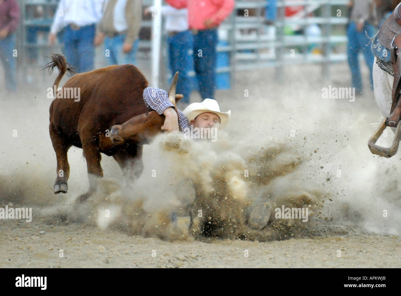 Apkwjb hi-res stock photography and images - Alamy