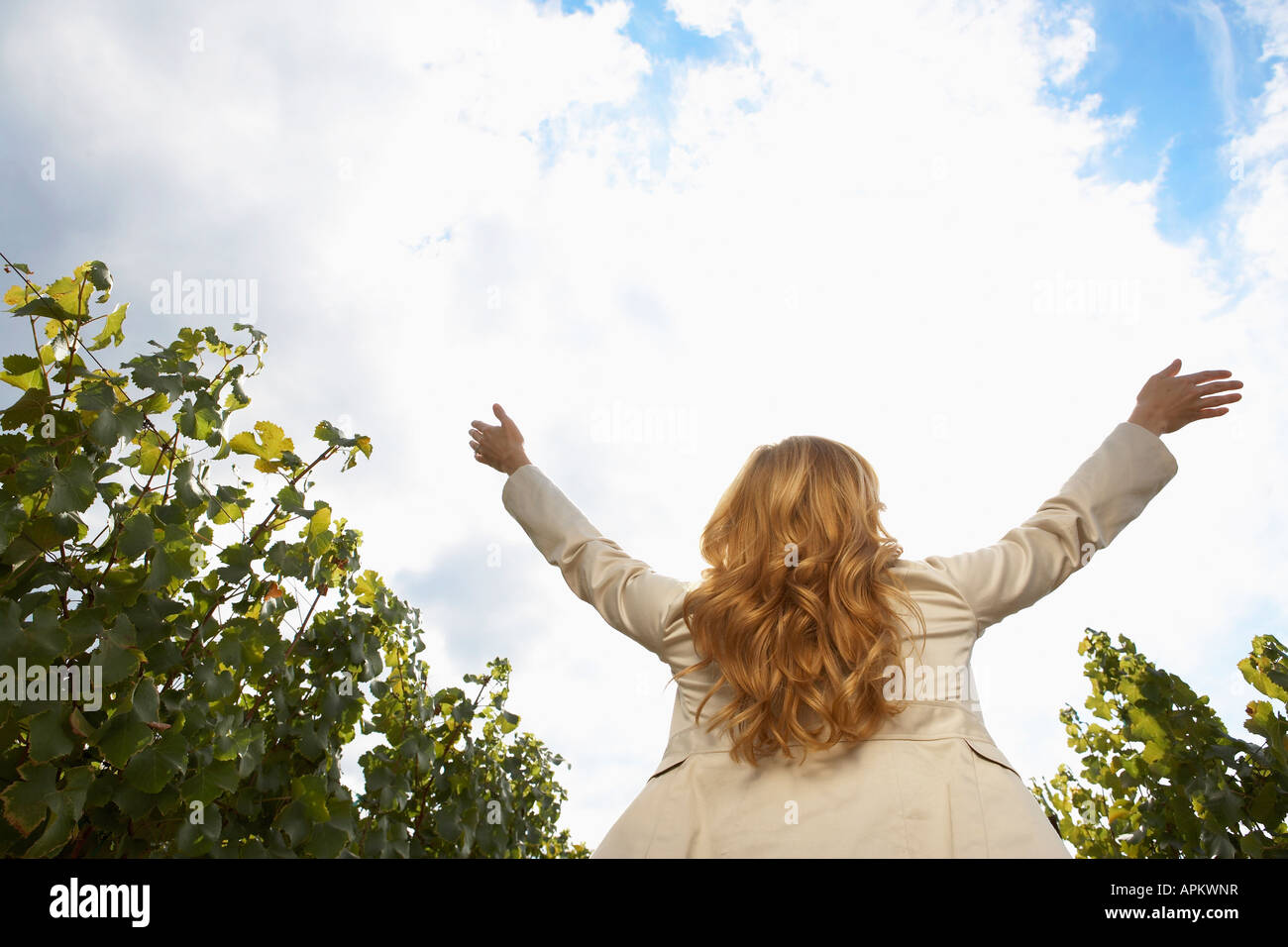 Rear view blond woman raising hi-res stock photography and images - Alamy