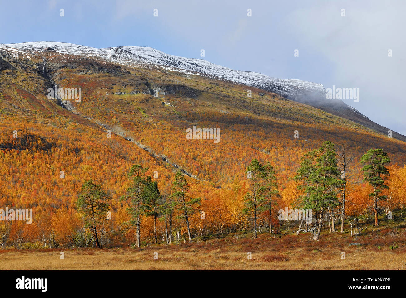 view onto a swamp in the Abisko National Park to the mountain Njulla, Sweden, Lapland, Norrbotten Stock Photo