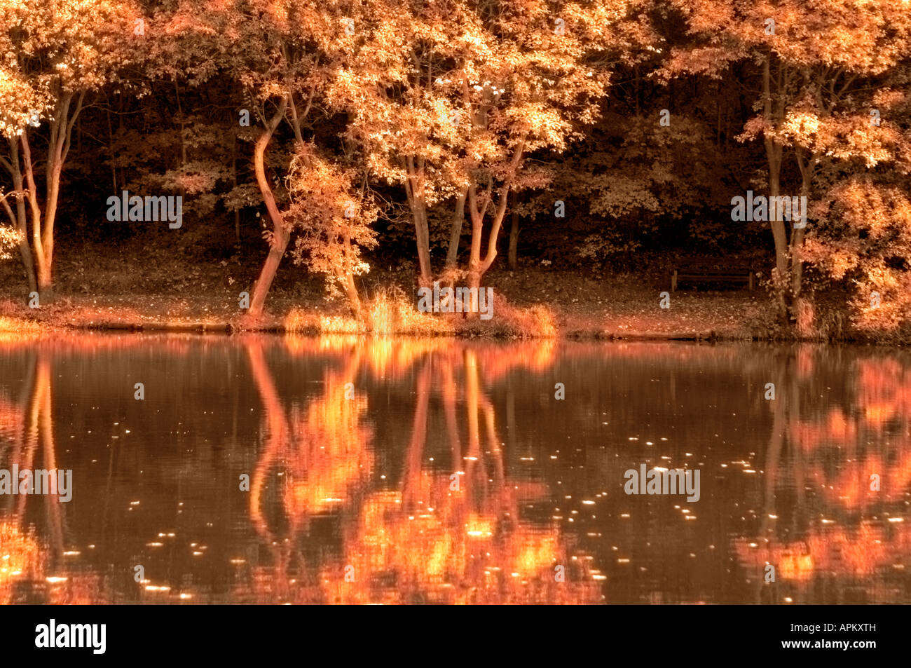 Reflections In A Lake Stock Photo - Alamy