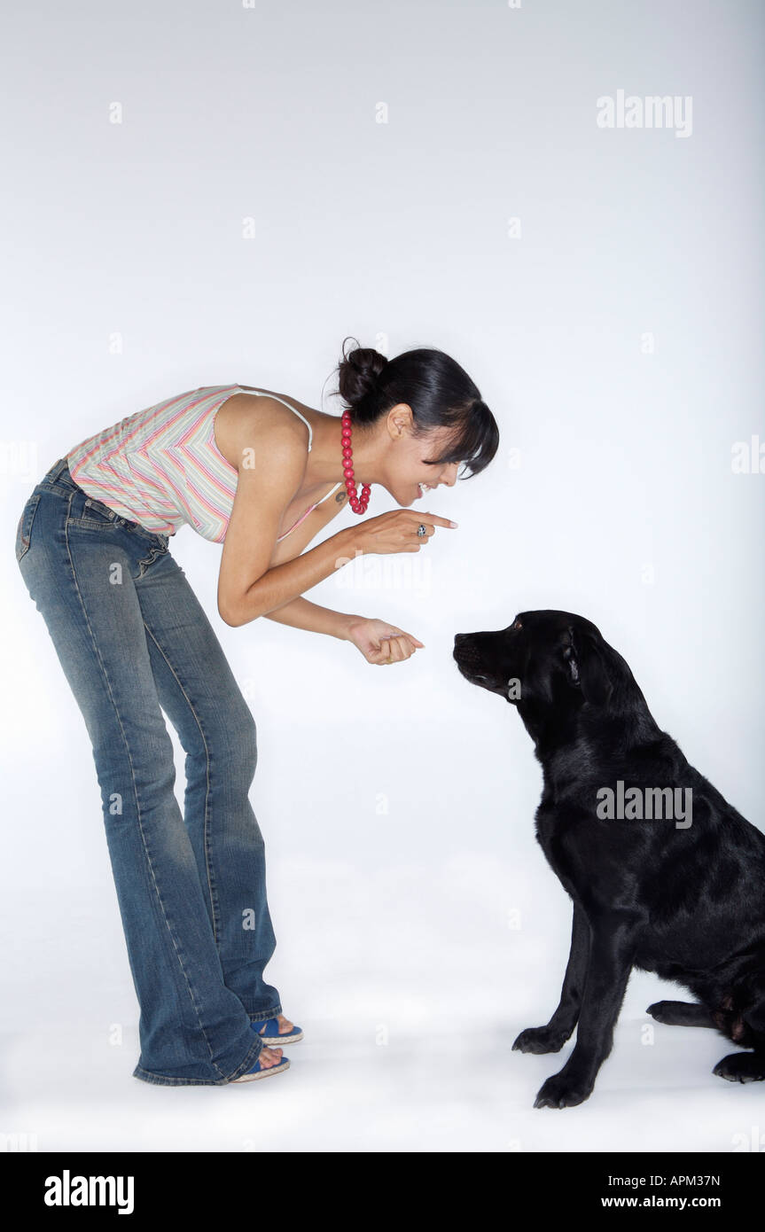 Woman teaching Labrador dog Stock Photo