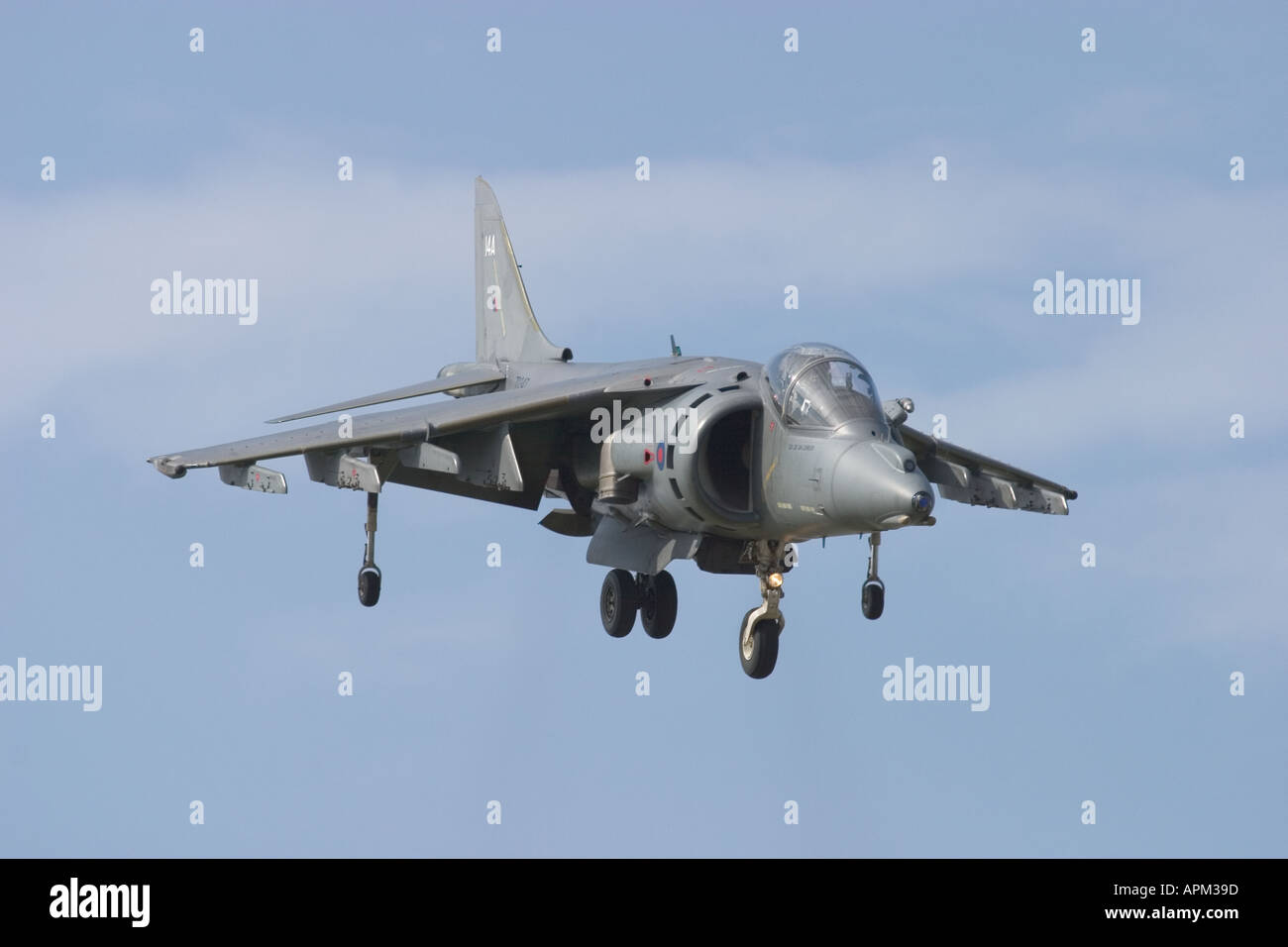 UK Air Force Hawker Siddeley Harrier GR 7 jumpjet Stock Photo