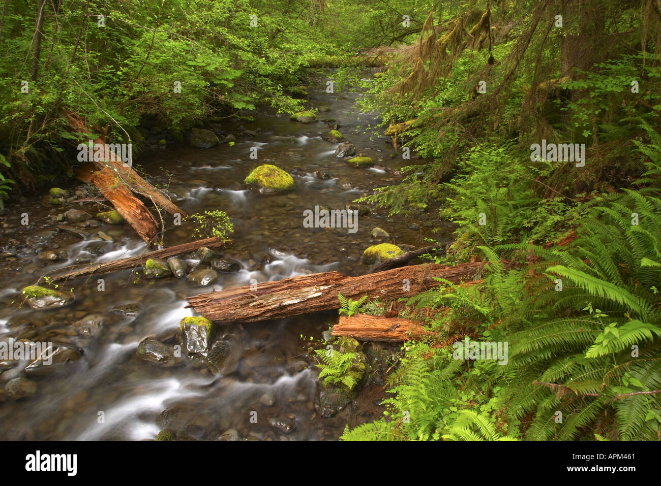 Broken tree log hi-res stock photography and images - Alamy
