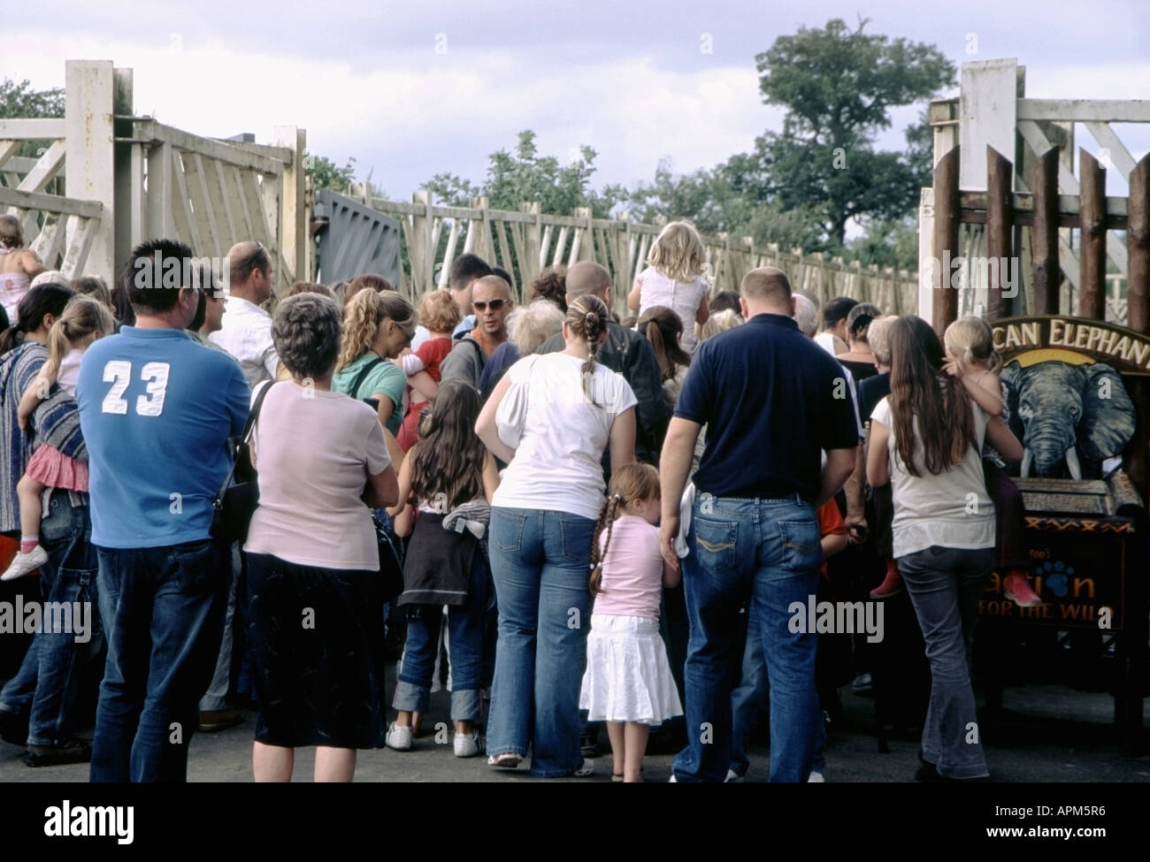 Crowd queueing to feed the elephants Colchester Zoo Essex UK Stock